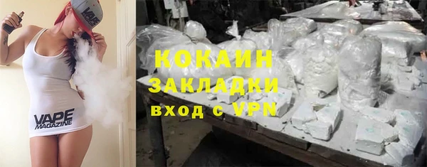 индика Волосово