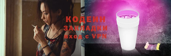 мдпв Вяземский