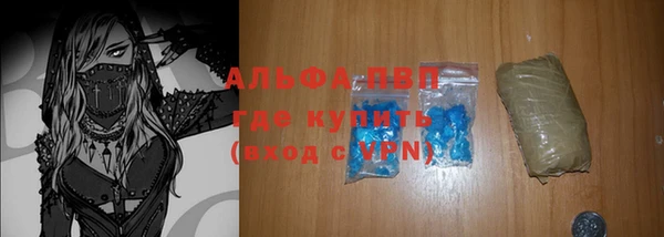 индика Волосово