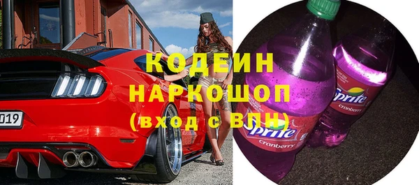 индика Волосово