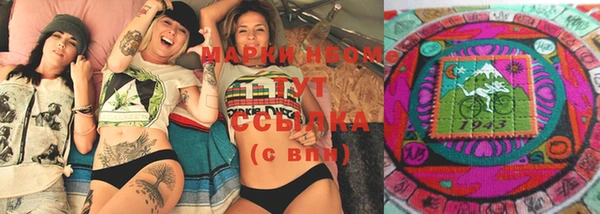 индика Волосово