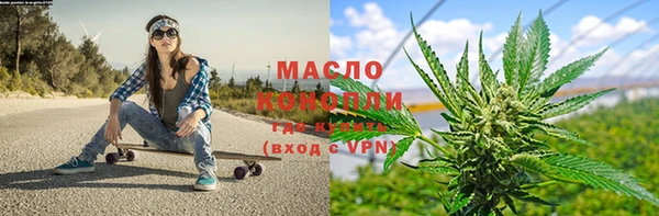 индика Волосово