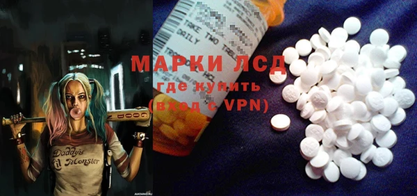 индика Волосово