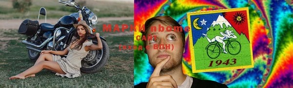 индика Волосово