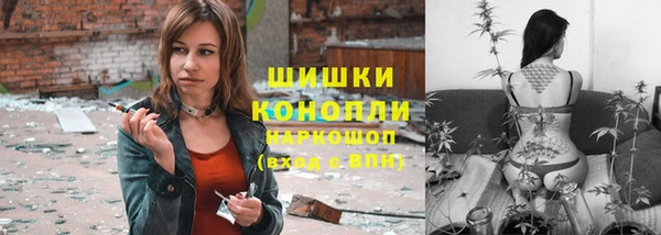индика Волосово